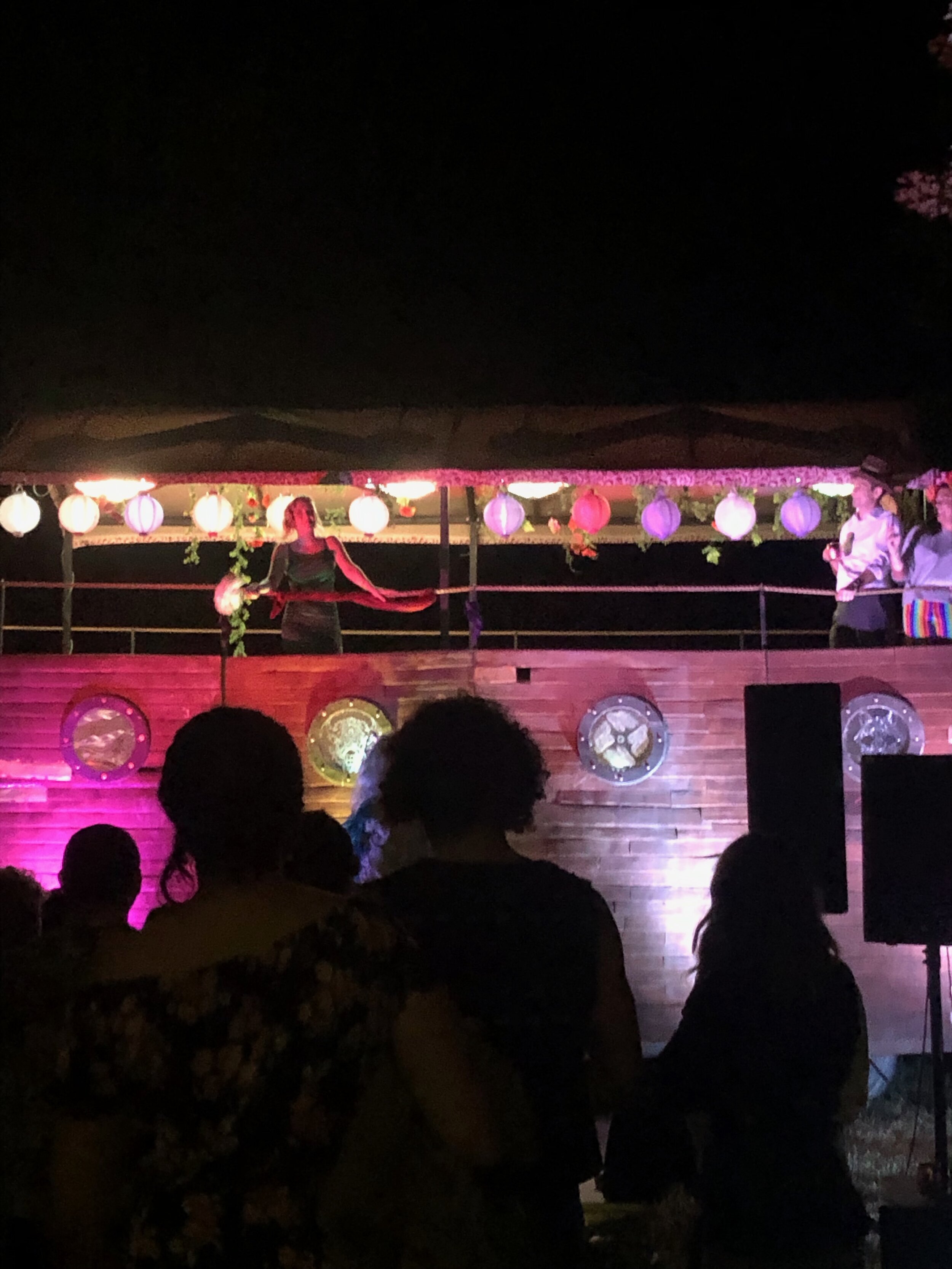 The bride makes her speech from aboard ark car!